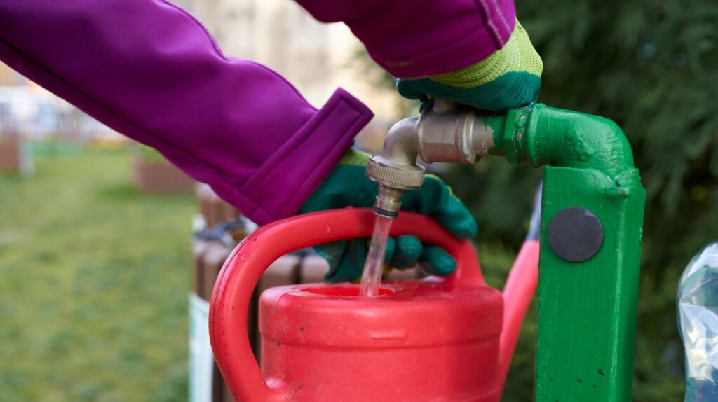 Top tips to save water in your home and garden as Dublin hosepipe ban to kick in