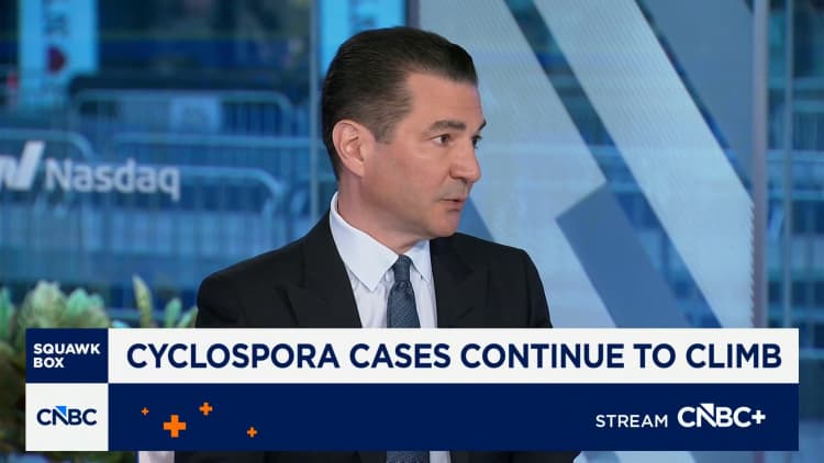Dr. Scott Gottlieb on cyclospora outbreak: This is the largest outbreak we've seen in history