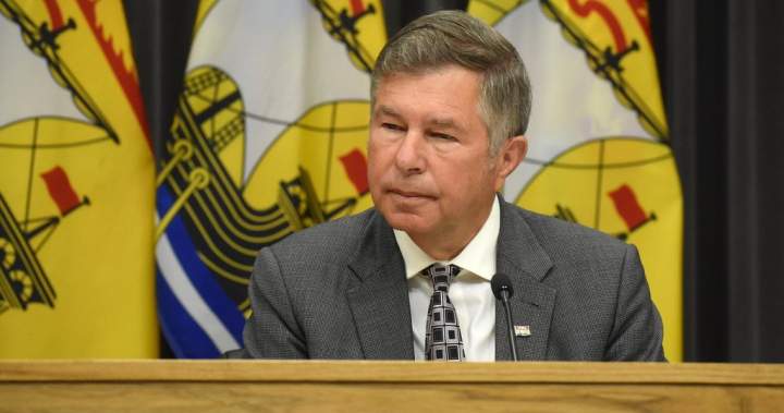 New Brunswick vows improvements to virtual care after criticism of new provider – New Brunswick New Brunswick vows improvements to virtual care after criticism of new provider - New Brunswick