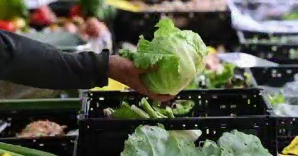 How the cyclospora outbreak is impacting the food industry How the cyclospora outbreak is impacting the food industry