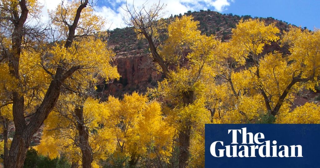Five family members found dead after flash flood in Utah canyon, police say Five family members found dead after flash flood in Utah canyon, police say