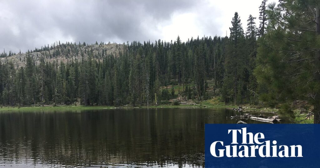 How the kidnapping of two forest service workers unfolded in California How the kidnapping of two forest service workers unfolded in California