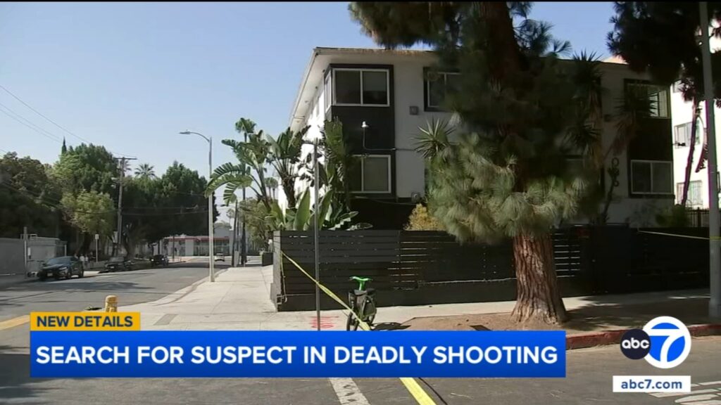 Man found shot to death at Hollywood apartment building, search for suspect underway Man found shot to death at Hollywood apartment building, search for suspect underway