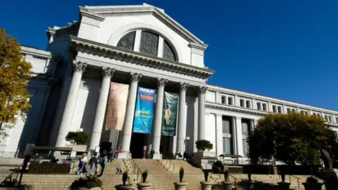 BBC Smithsonian National Museum of American History building with large columns and tourists