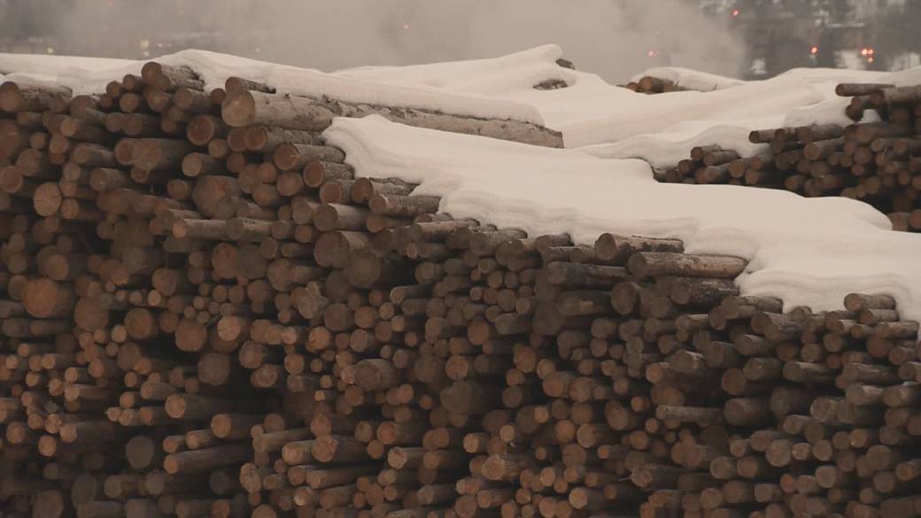 Click to play video: 'Trickle-down effect of mill closures'