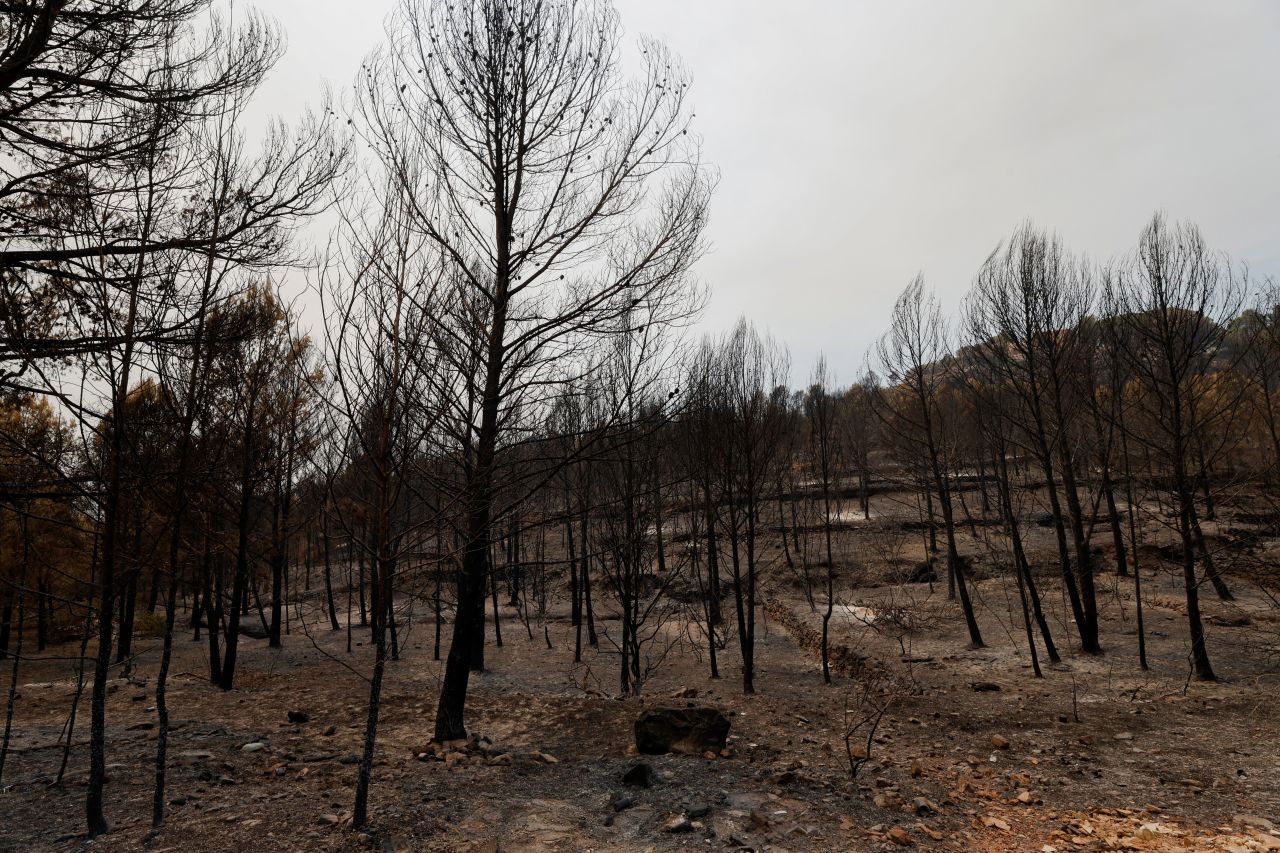 A general view of an area affected by a wildfire in La Vall d'Uixo, Castellon province, Spain, July 27, 2026.