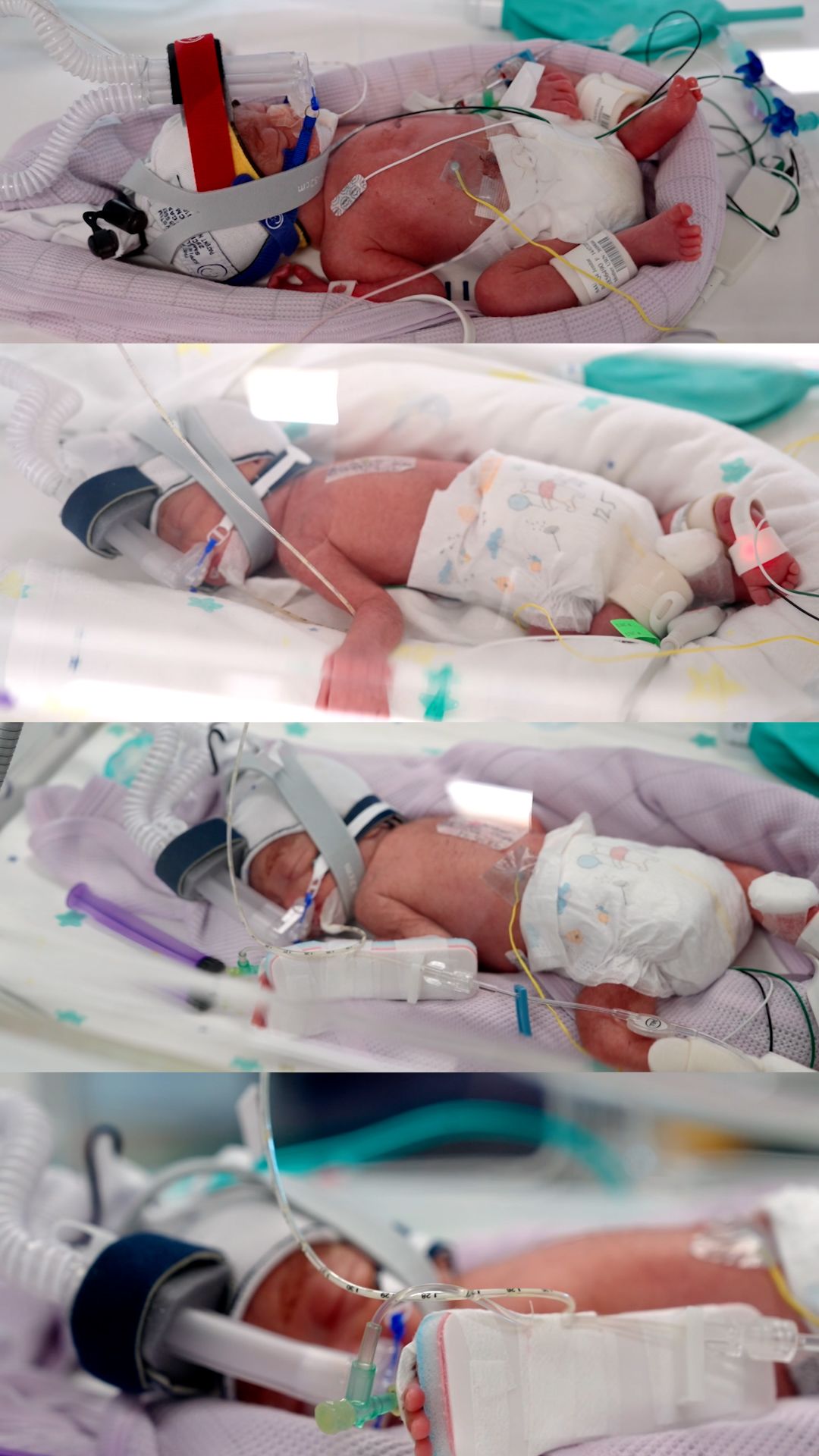 22821506 - Identical Quadruplets.00_01_00_17.Still001.jpg