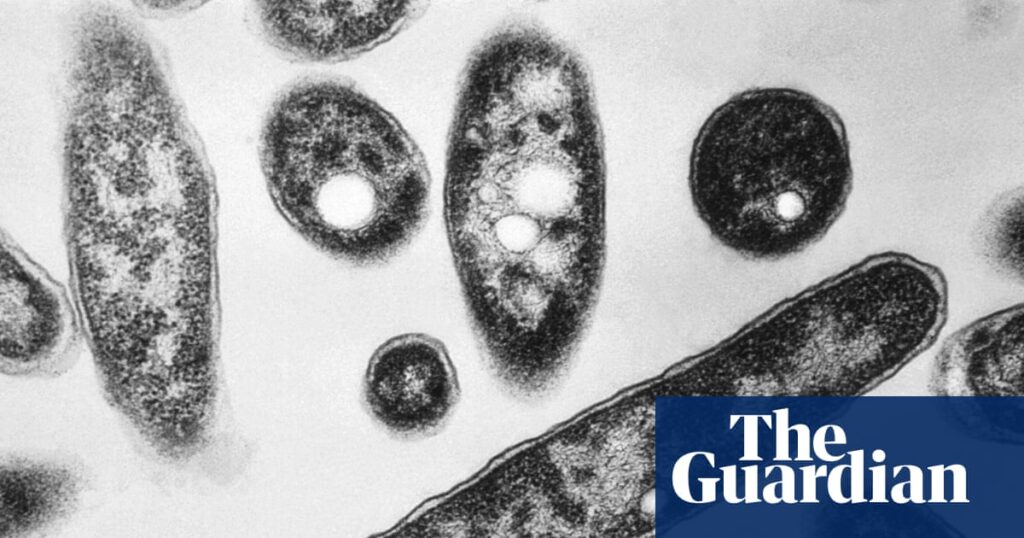 Legionnaires’ outbreak rocks New York as experts warn of rising climate threat Legionnaires’ outbreak rocks New York as experts warn of rising climate threat