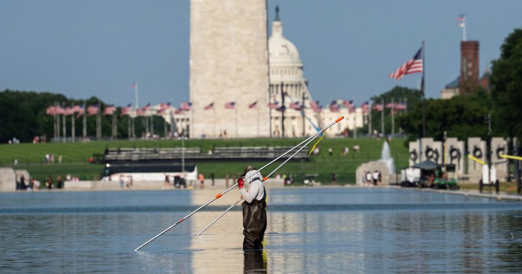 U.S. Olympian David Hearn pleads not guilty to charges in Reflecting Pool vandalism case
