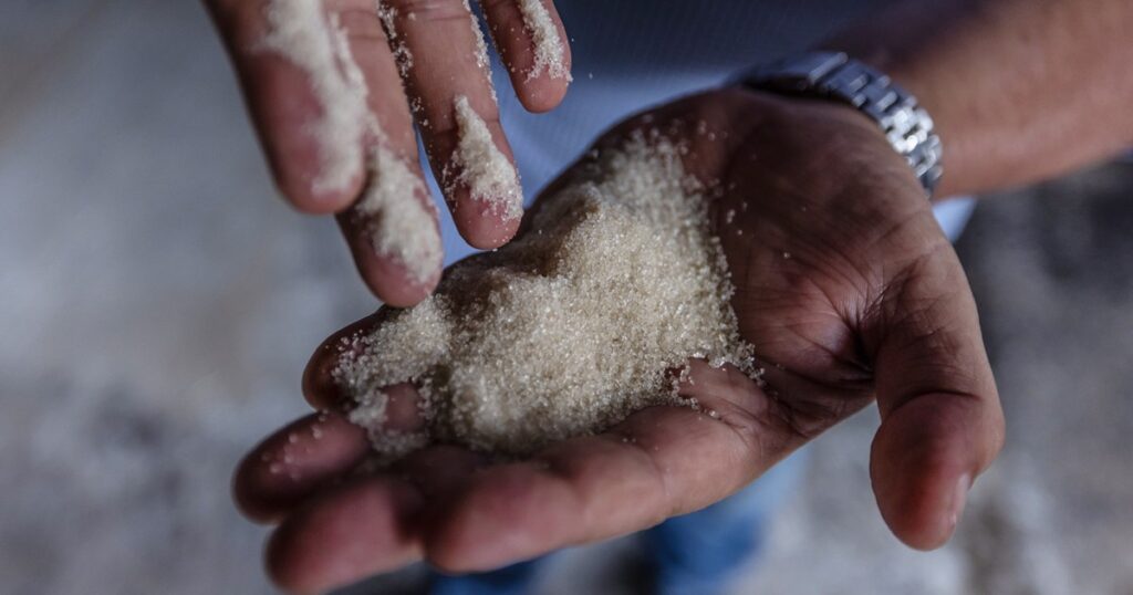 U.S. launches new round of tariffs with 25% tax on most Brazil imports U.S. launches new round of tariffs with 25% tax on most Brazil imports