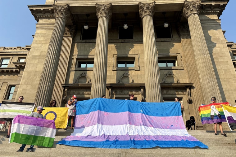 A large trans flag and other pride flags on display outside of the State Capitol.