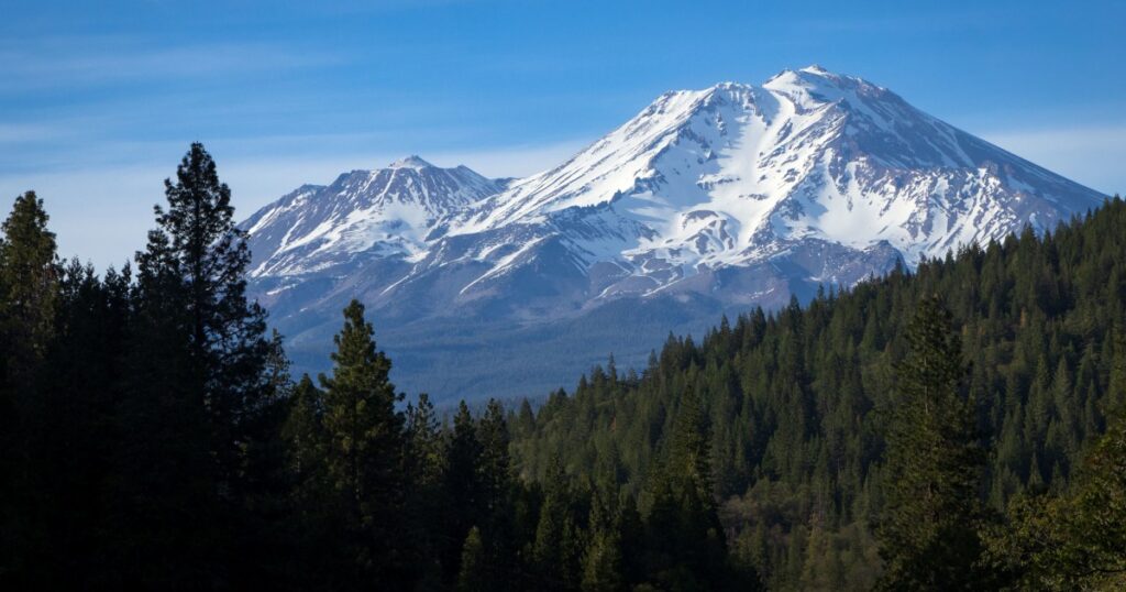 Two U.S. Forest Service employees rescued after being zip Two U.S. Forest Service employees rescued after being zip