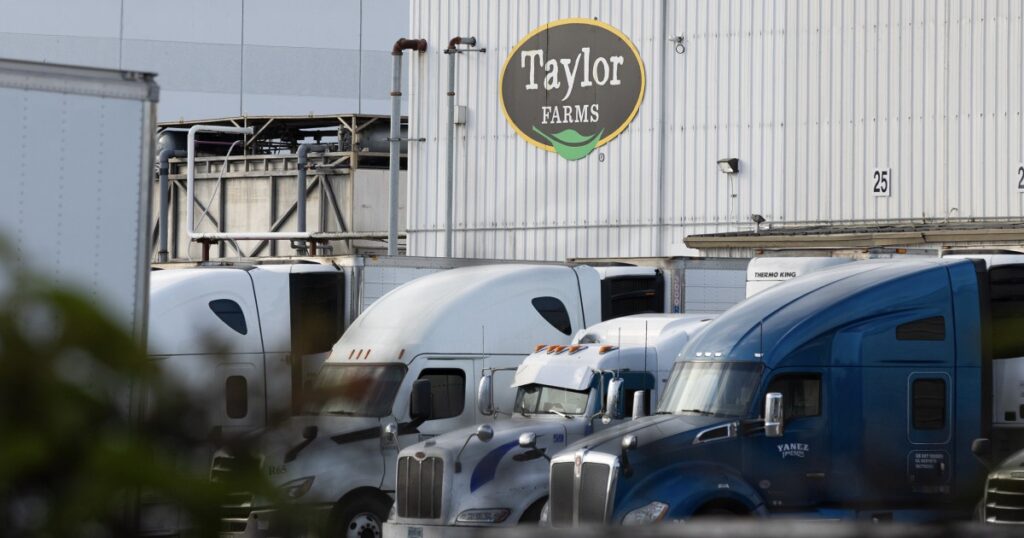 FDA says Taylor Farms lettuce sample tested for cyclospora produced false positive for the parasite FDA says Taylor Farms lettuce sample tested for cyclospora produced false positive for the parasite