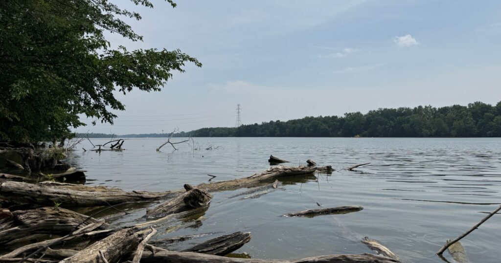 Attempt to save a struggling swimmer leaves 5 dead in an Ohio river Attempt to save a struggling swimmer leaves 5 dead in an Ohio river