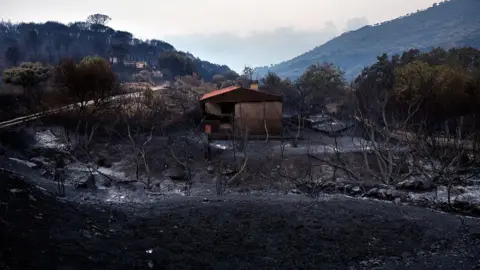 AFP via Getty Images A house is severely damaged by fire, with burnt out trees and vegetation visible all around it