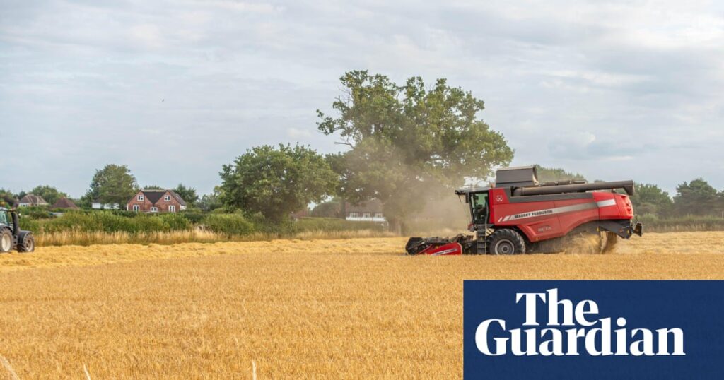 Food price fears after Europe’s heatwave destroys estimated