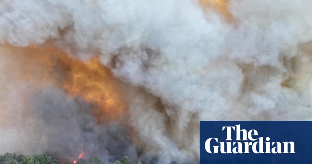 Fire bomber planes battle Fontainebleau forest blaze near Paris Fire bomber planes battle Fontainebleau forest blaze near Paris