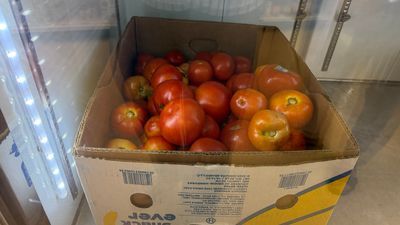 Farmer's Tomatoes