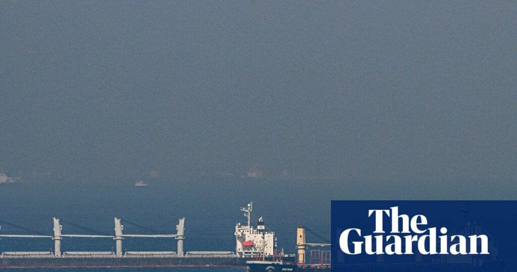 Ukraine war briefing: Russia behind deadly strike on cargo ship, says Ukraine, as Putin thanks North Korea Ukraine war briefing: Russia behind deadly strike on cargo ship, says Ukraine, as Putin thanks North Korea