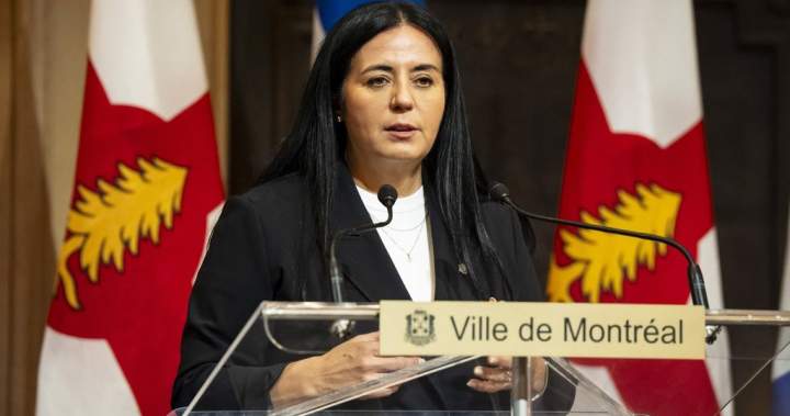 Montreal scraps Outremont modular housing project amid contamination concerns – Montreal Montreal scraps Outremont modular housing project amid contamination concerns - Montreal