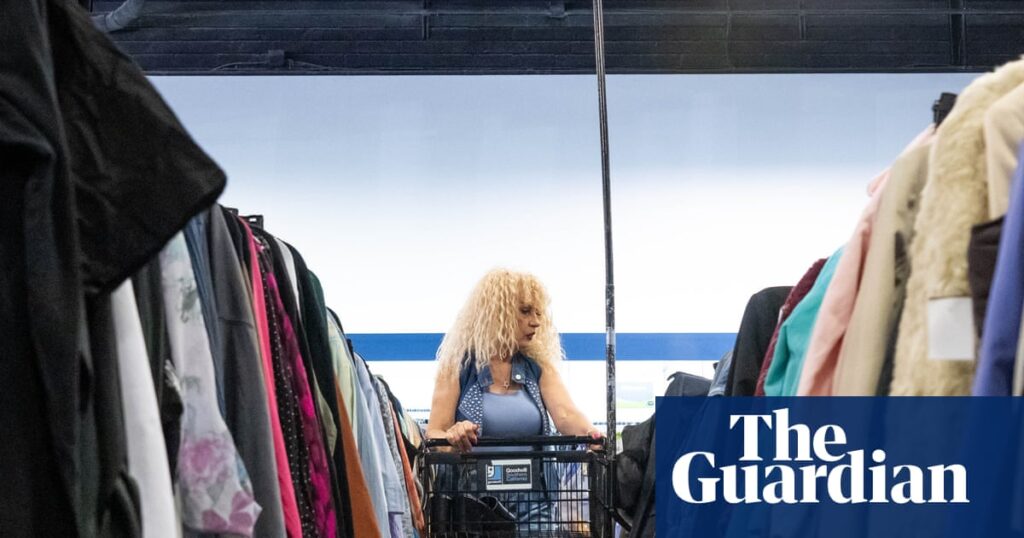 ‘It’s become a nepo baby sport’: how secondhand fashion got so expensive ‘It’s become a nepo baby sport’: how secondhand fashion got so expensive