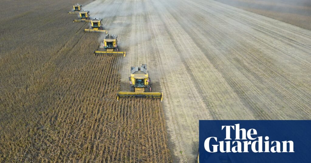 ‘Super’ El Niño could cause global food price shock lasting into 2028, analysts say