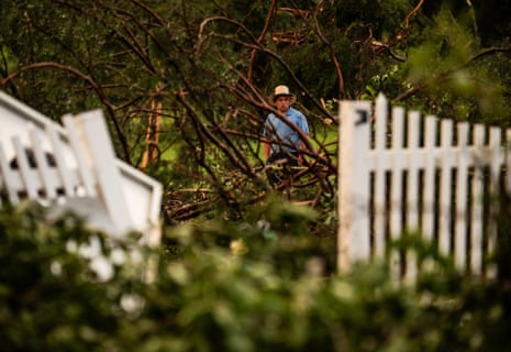 a man looks at downed trees