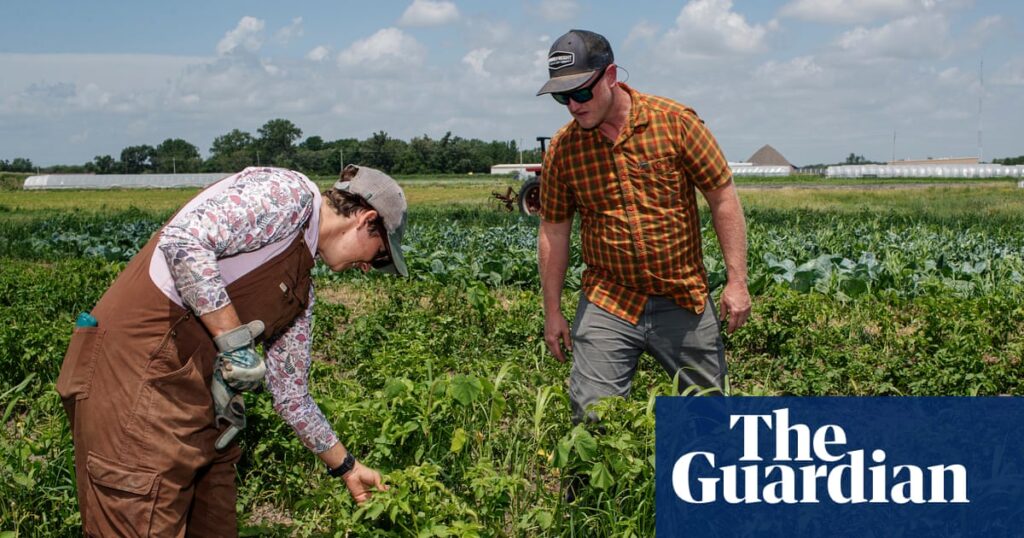 ‘A slap in the face’: small farmers say Trump is turning his back on them ‘A slap in the face’: small farmers say Trump is turning his back on them