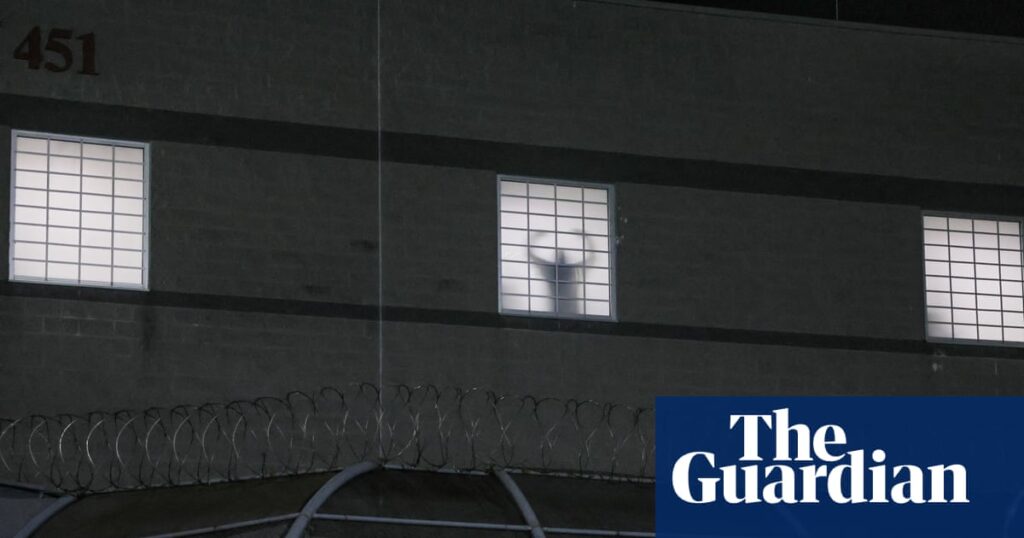 Trump administration forced treatment on hunger striker in ICE detention, document reveals