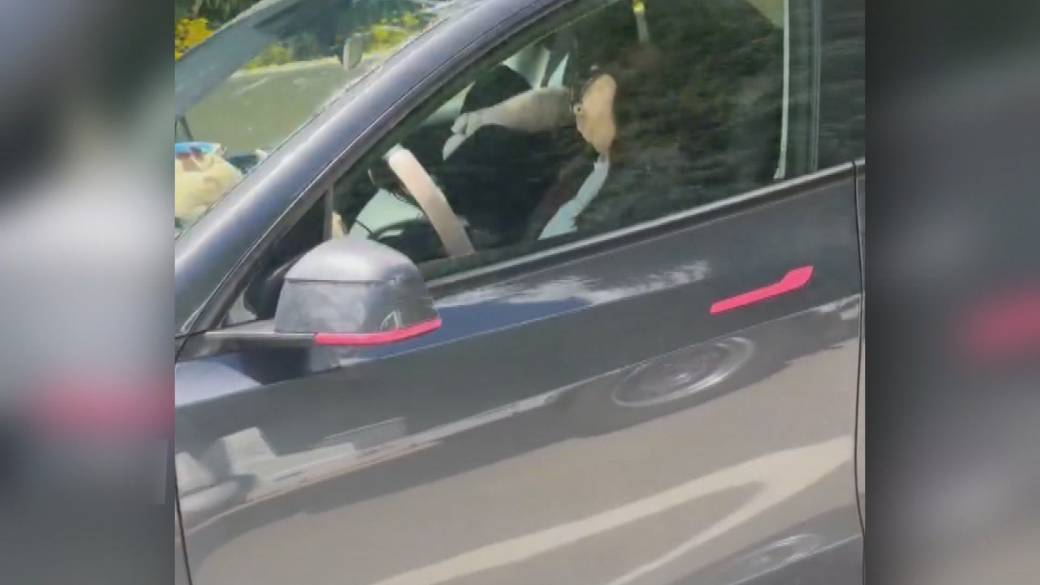 Click to play video: 'Driver appears asleep at the wheel on busy B.C. highway'