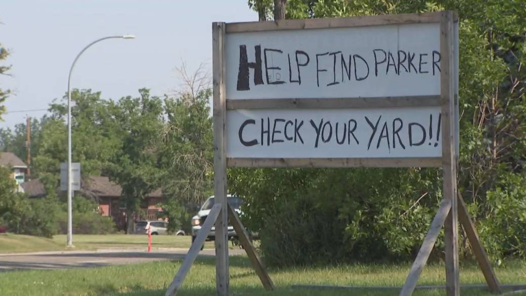 Click to play video: 'Calgary Police Service renews call for people to search properties for missing boy'
