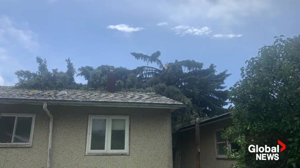 Click to play video: 'Cleanup efforts underway in Edmonton after intense weekend storms'