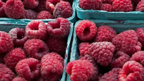 PAUL J. RICHARDS/AFP via Getty Images Fresh raspberries are seen up close in green cartons