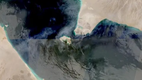 NASA Worldview/Reuters A satellite image shows the Bab el Mandeb Strait, a narrow shipping lane