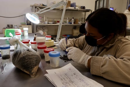 A scientist works in a lab.