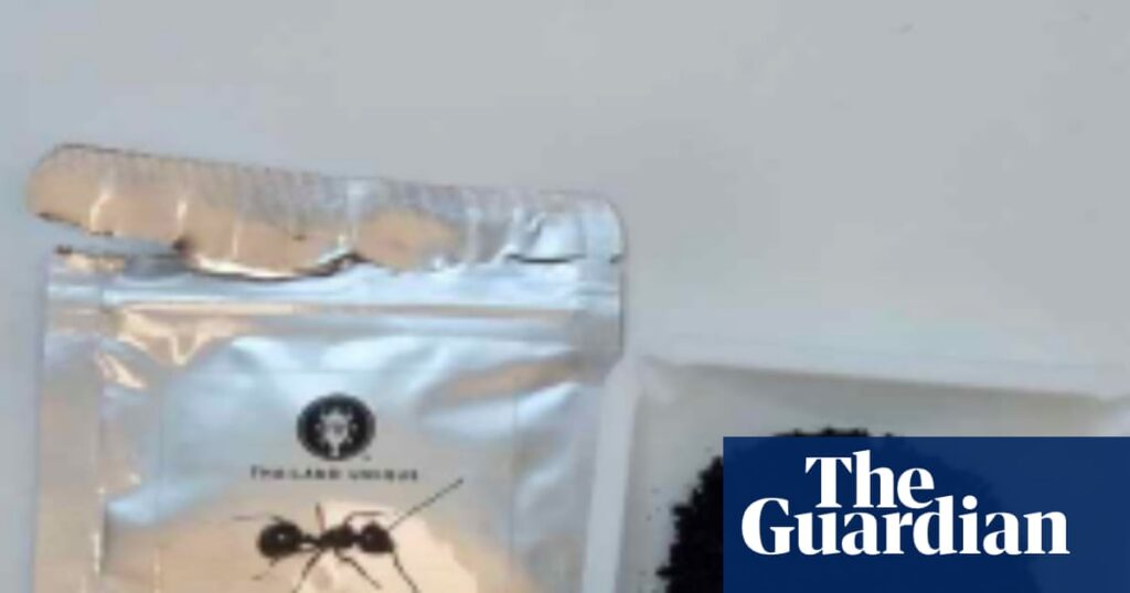 Michelin-starred restaurant owner in South Korea faces jail for serving ants in dessert Michelin-starred restaurant owner in South Korea faces jail for serving ants in dessert