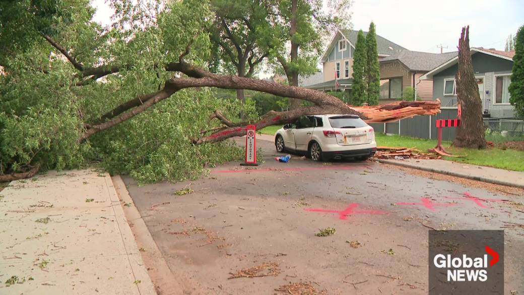 Click to play video: 'Cleanup still underway in Edmonton after intense Saturday storm'