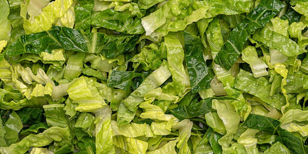 I went to a huge nutrition conference amid the cyclospora outbreak. Everyone was eating salad.