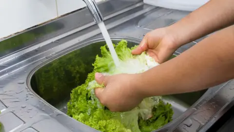 Getty Images Person Washing Lettuce.