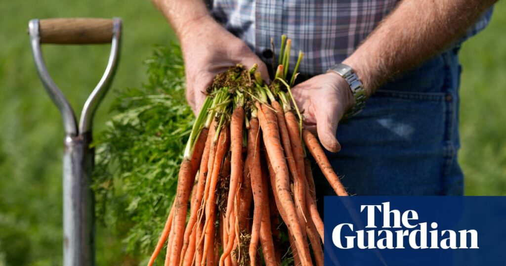 Nutrients in our food are declining. Can regenerative agriculture save it? Nutrients in our food are declining. Can regenerative agriculture save it?