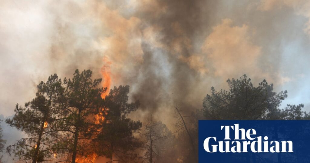 More than 250,000 people flee wildfires in France and Spain More than 250,000 people flee wildfires in France and Spain