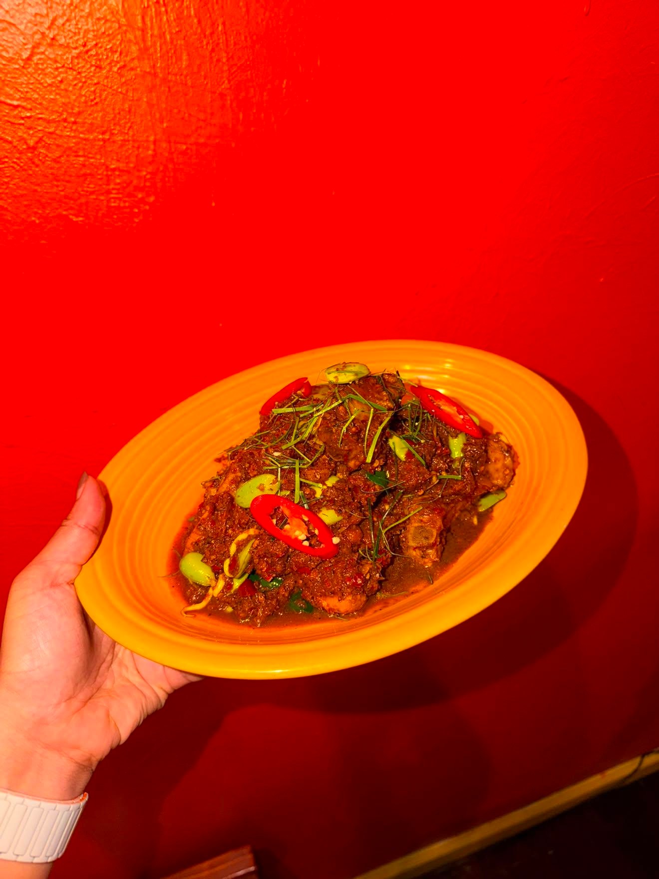 Someone holding up a plate of Thai food.