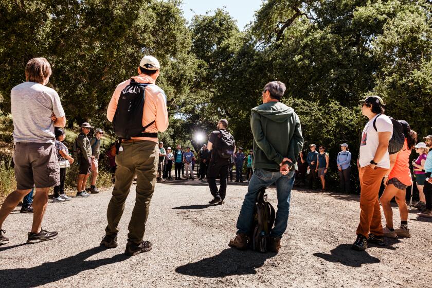 SAN JOSE, CA, UNITED STATES - MAY 18, 2026: Basem Istanbouli (center - in black) organizes hikers into groups before the hike starts. Basem Istanbouli leads a main hike with unPTO, an organization that coordinates hikes for the community of laid off tech workers to network and support each other in search of a career transition, at Quicksilver McAbee Loop on Monday, May 18, 2026 in San Jose, CA. Major tech companies such as Meta, Coinbase and others continue to lay off employees, citing the way artificial intelligence is reshaping the way people work. Some tech workers are finding it's taking a longer time to land their next job while others are stepping back to ponder their next career move. (Carolyn Fong / For The Times)