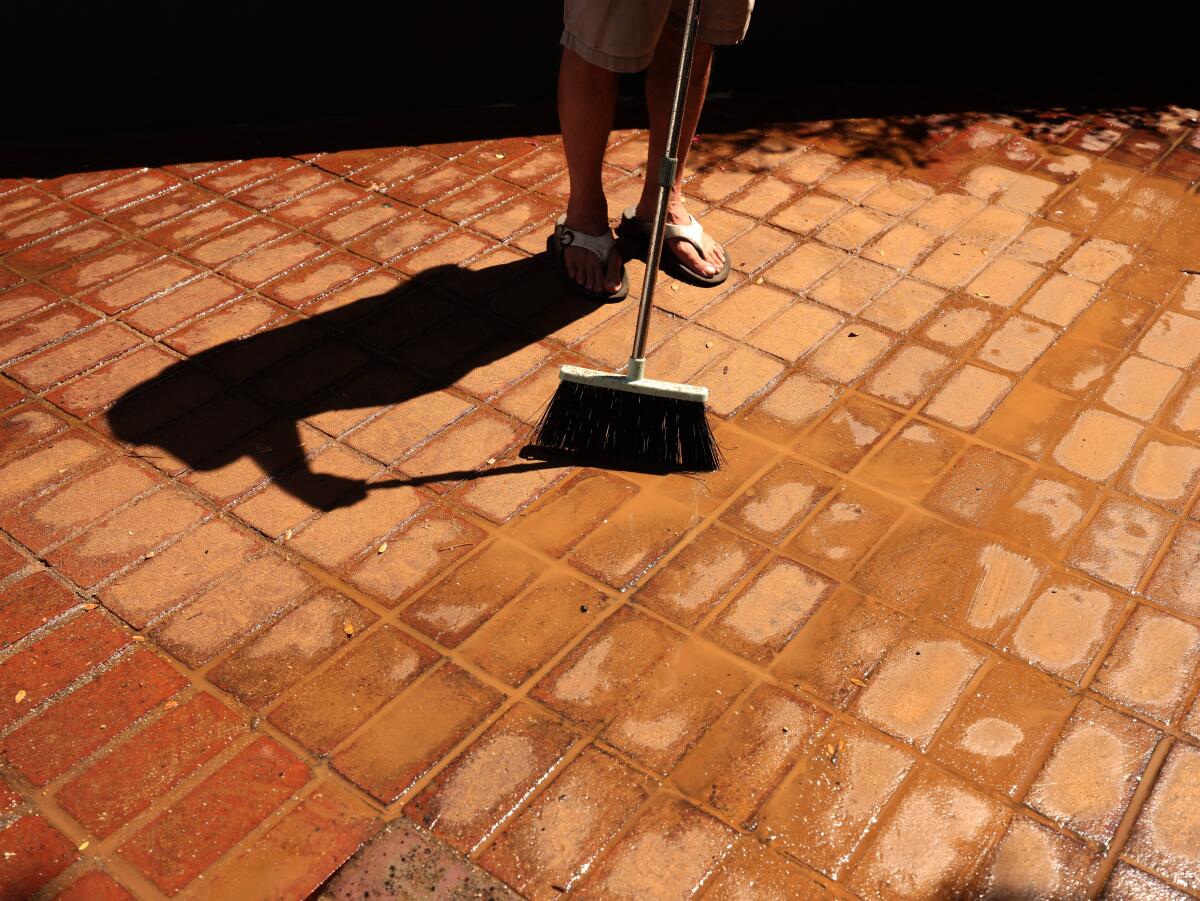 Joe Artle, 70, property manager and resident, cleans-up around his apartment building