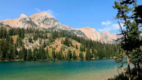 Getty Images An aqua-blue river runs through a valley surrounded by pine trees and rocky mountains