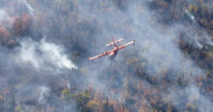 Wildfire preparation tips as fires burn in Maritime provinces Wildfire preparation tips as fires burn in Maritime provinces