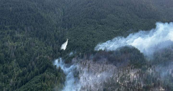 Evacuation alert for East Kootenay wildfire, Brunswick Creek fire grows: officials Evacuation alert for East Kootenay wildfire, Brunswick Creek fire grows: officials