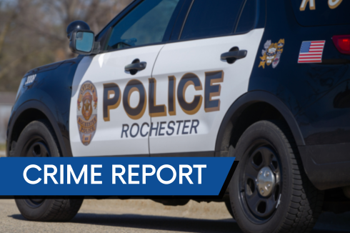 RPD - CRIME REPORT.png