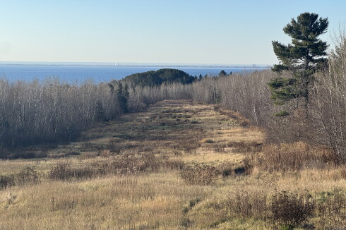 A clearing surrounded by woods with water in the distance