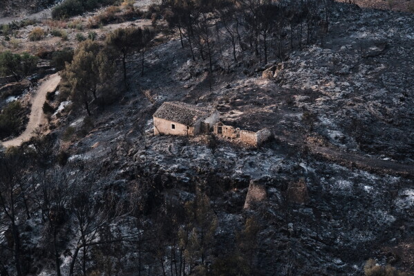 A view of a burnt area affected by wildfires in Bedar, near Almeria, Spain, Saturday, July 11, 2026. (AP Photo/Gregorio Marrero)